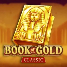 game logo by Playson on fgfoxscasino.nl