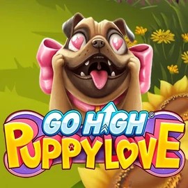 Go High Puppy Love slot icon by RubyPlay, available at Fgfox Casino